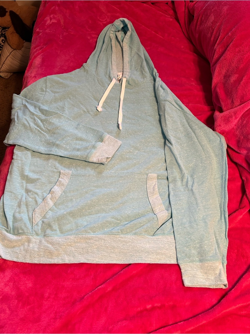 Light Aqua Hoodie Pullover Seeatshirt